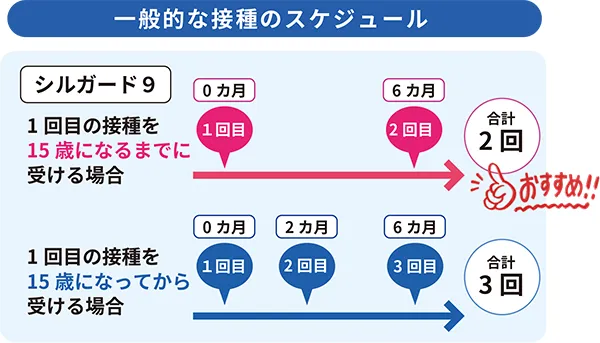 一般的なスケジュール